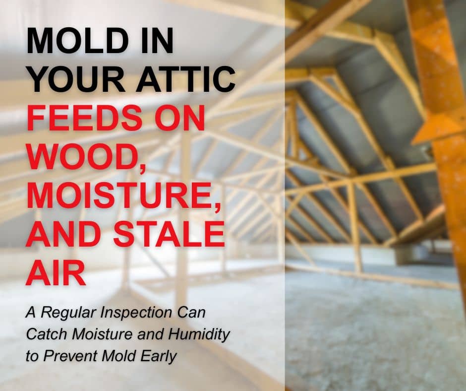graphic relaying that a regular inspection can prevent mold growth in attics