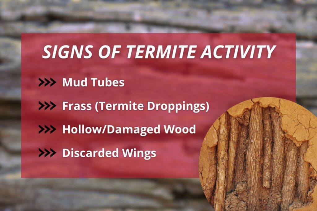 An informational graphic listing key signs of termite activity—mud tubes, frass (droppings), hollow or damaged wood, and discarded wings—accompanied by a close-up photo of termite-damaged wood grain.