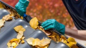 Person wearing green work gloves scooping dry autumn leaves out of a roof gutter.